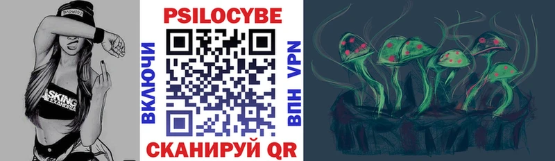Псилоцибиновые грибы Psilocybe  Купить где  Сим 